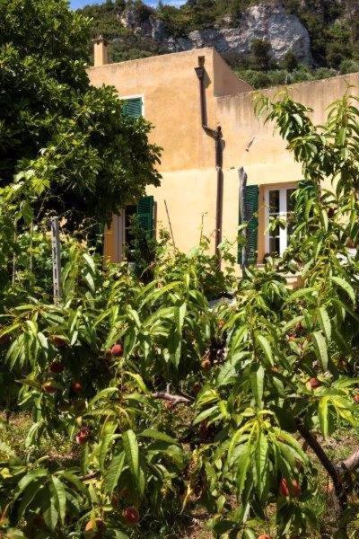 Agriturismo La Selva Finale Ligure Zewnętrze zdjęcie
